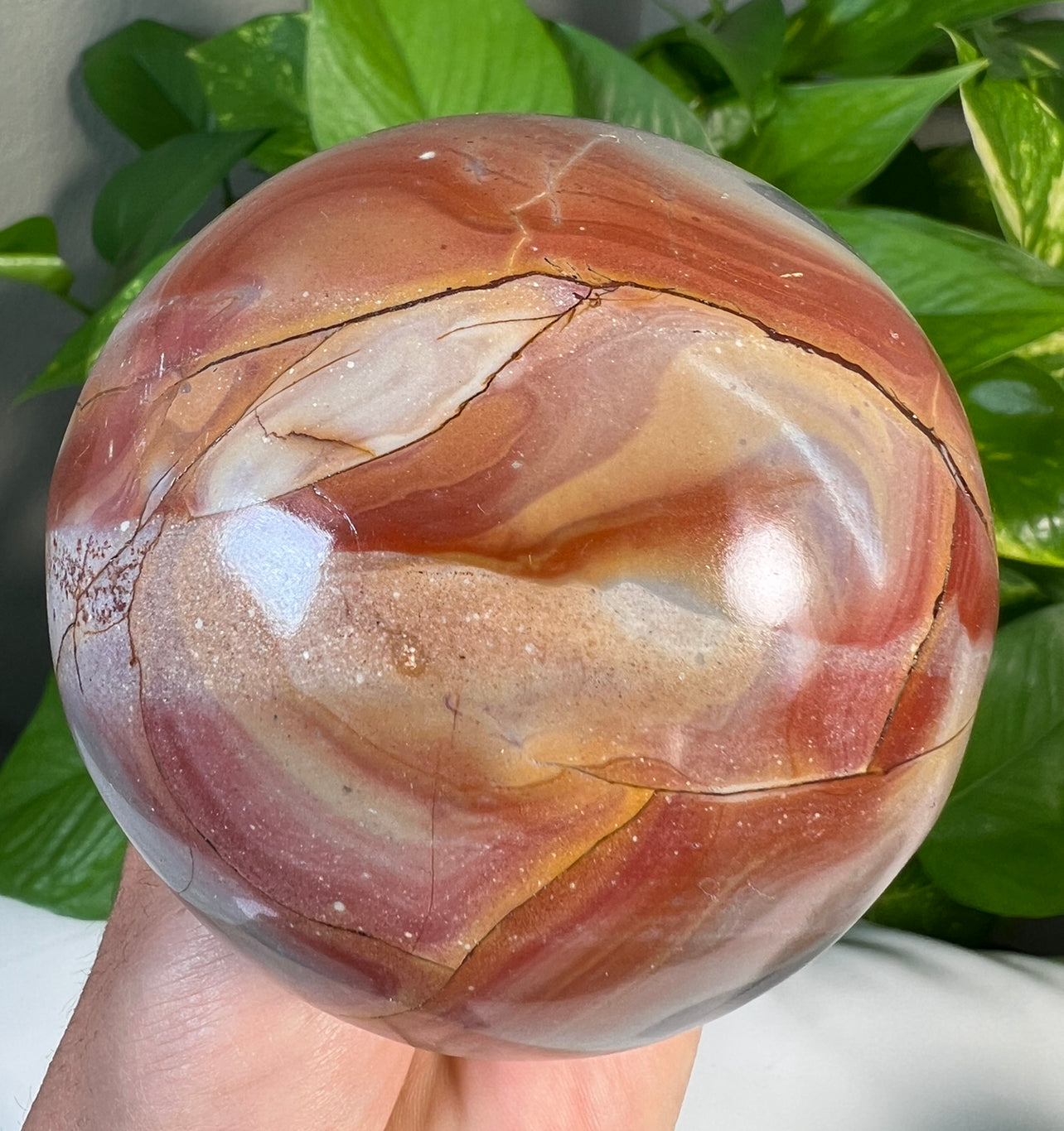 Polychrome Jasper Mushrooms