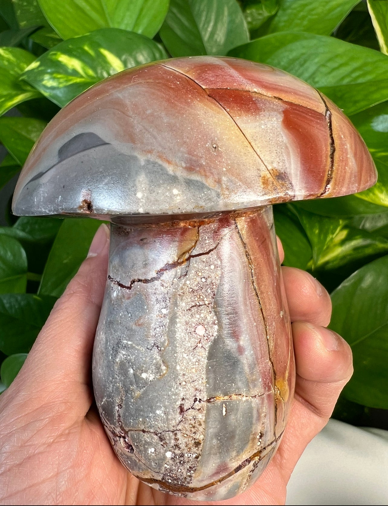 Polychrome Jasper Mushrooms