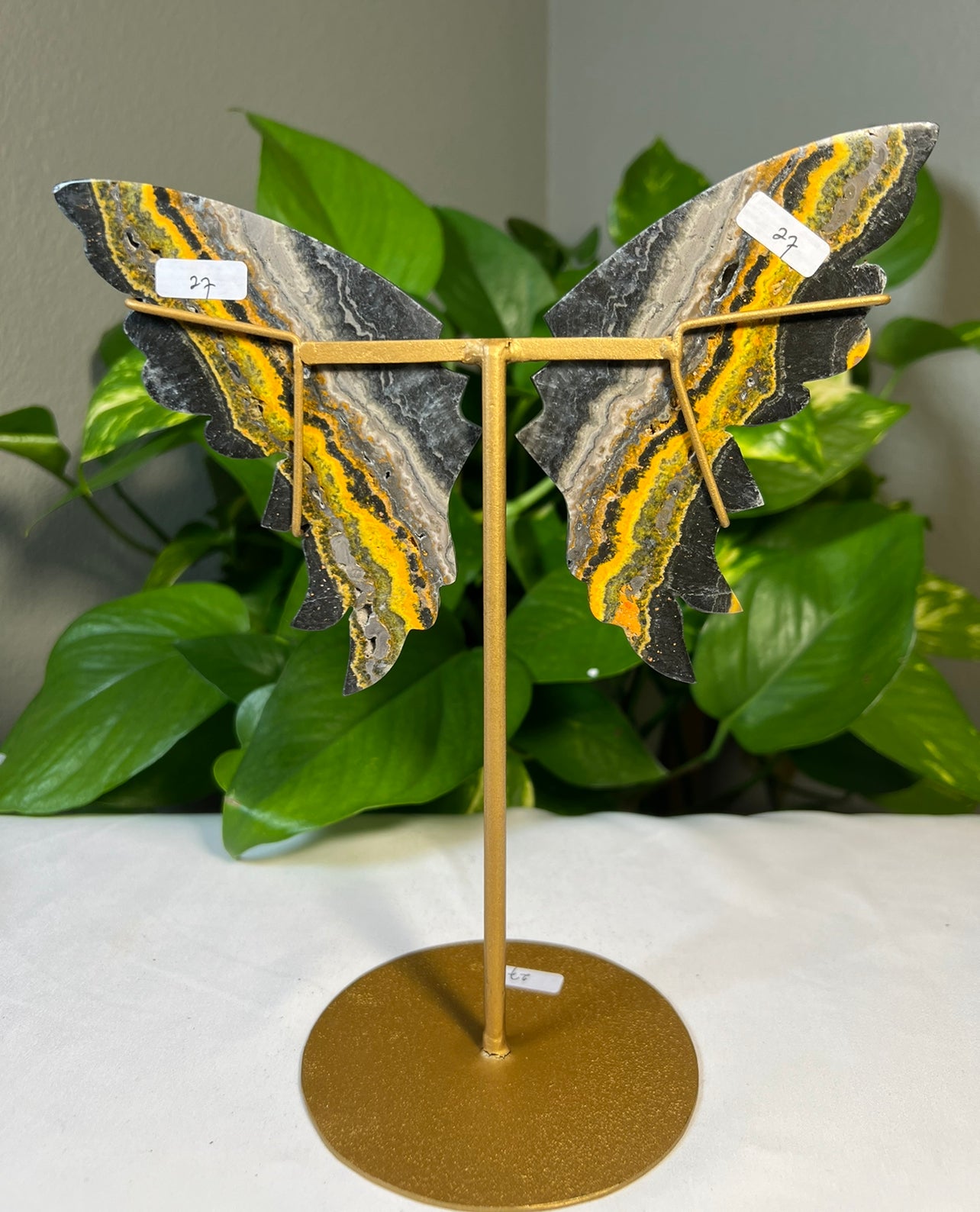 Bumblebee Jasper Wings