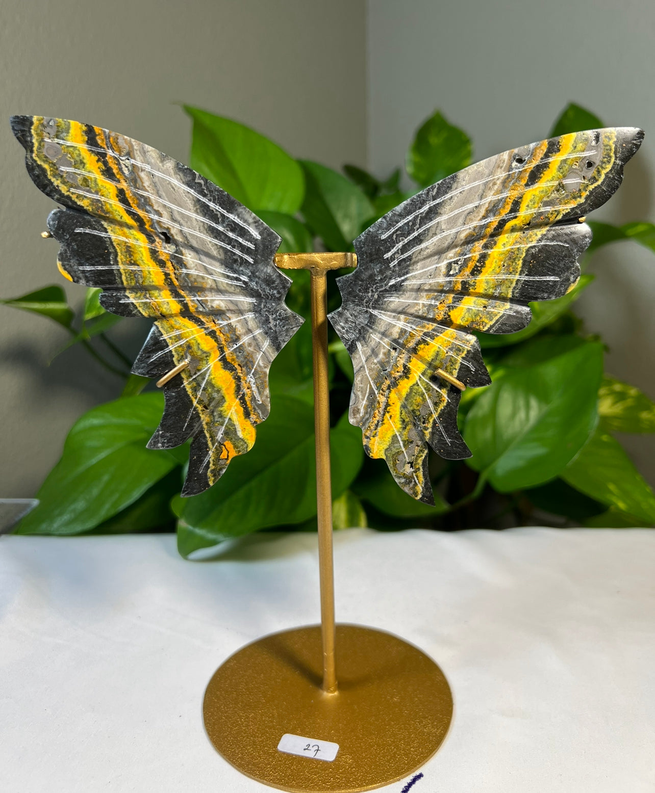 Bumblebee Jasper Wings