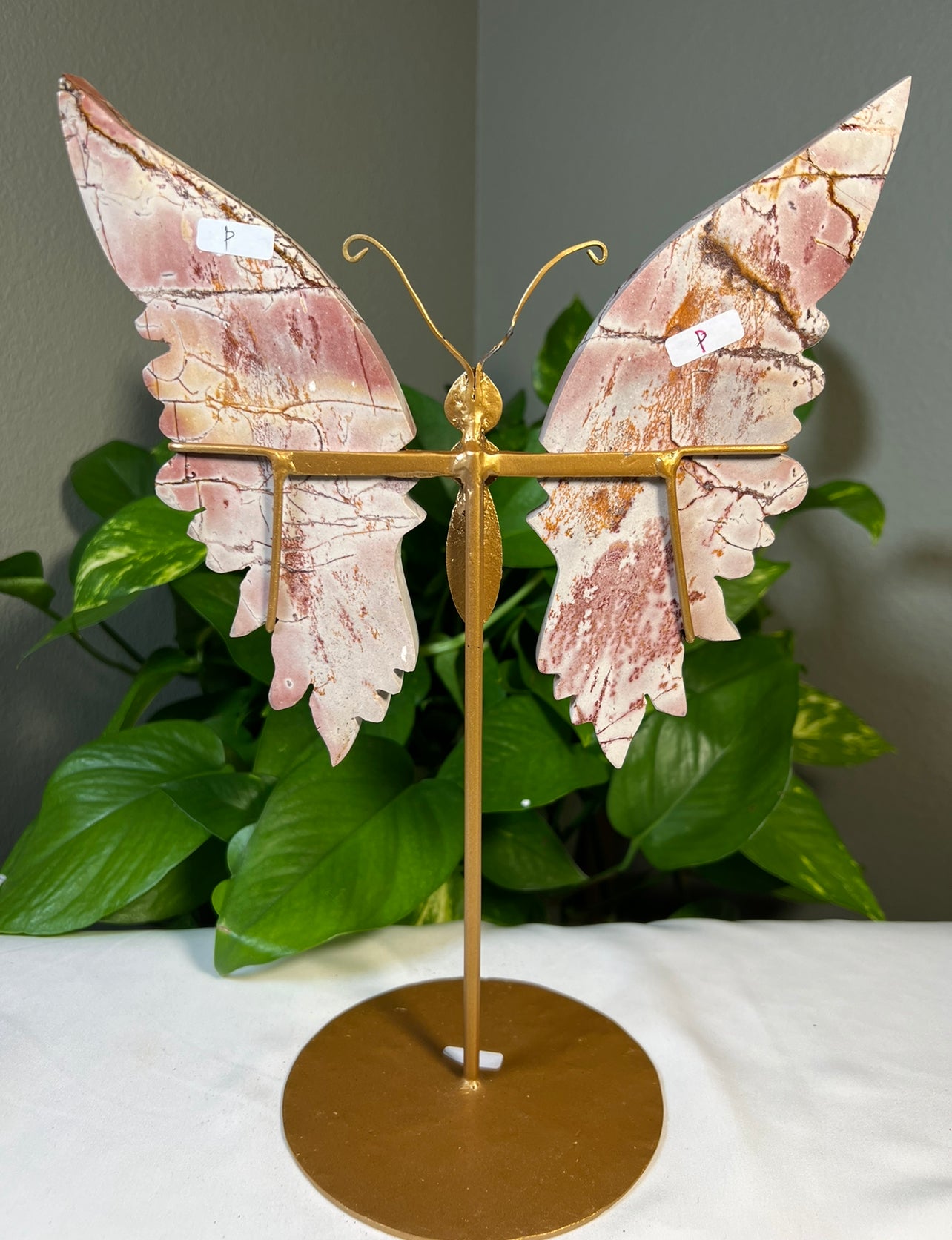 Pink Polycrome Jasper Wings