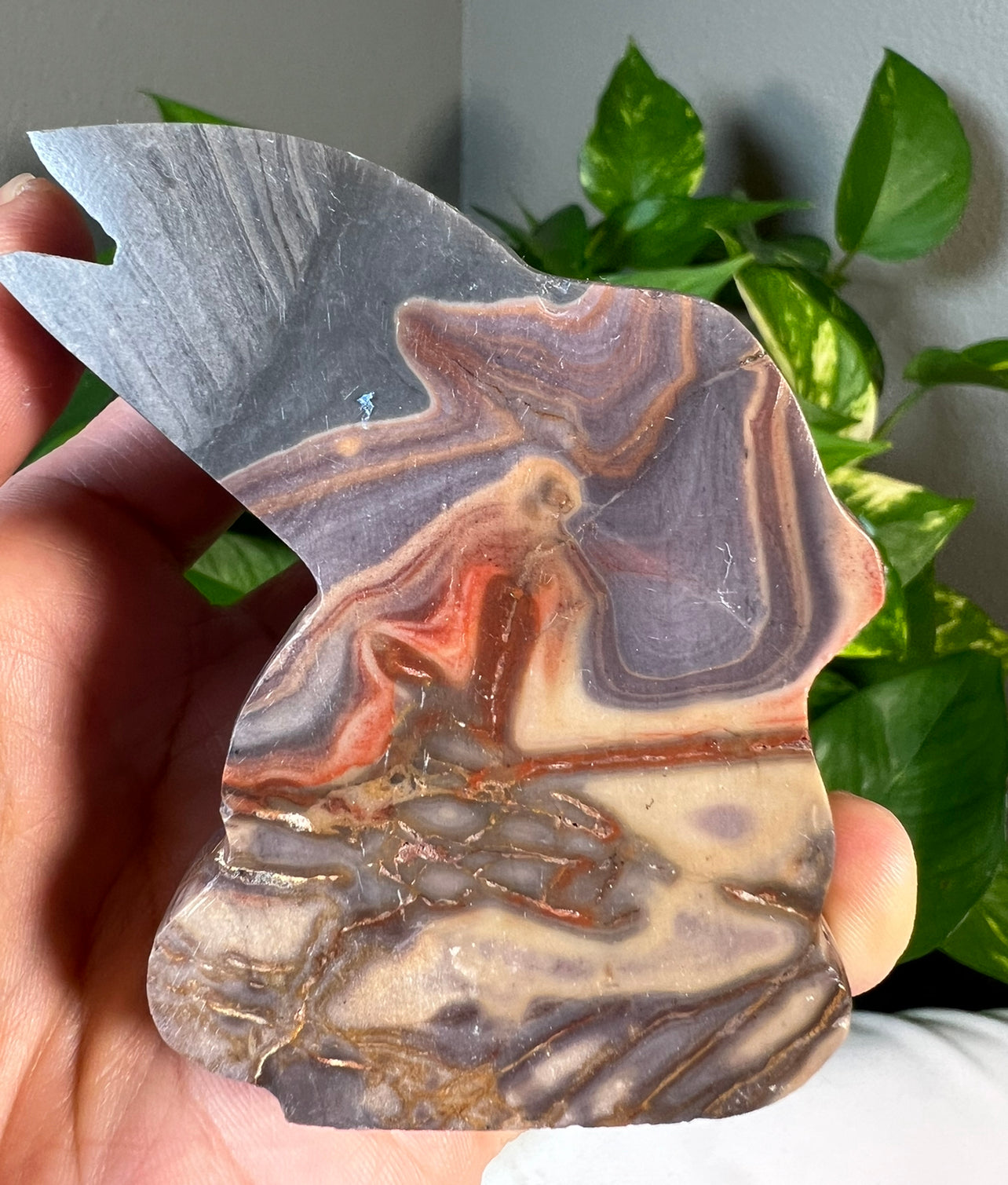 Polychrome Jasper Bunny