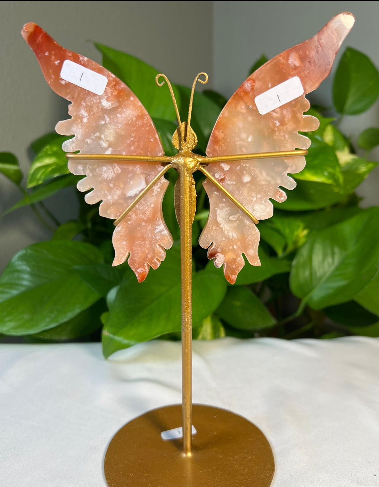 Red Carnelian Flower Agate Wings