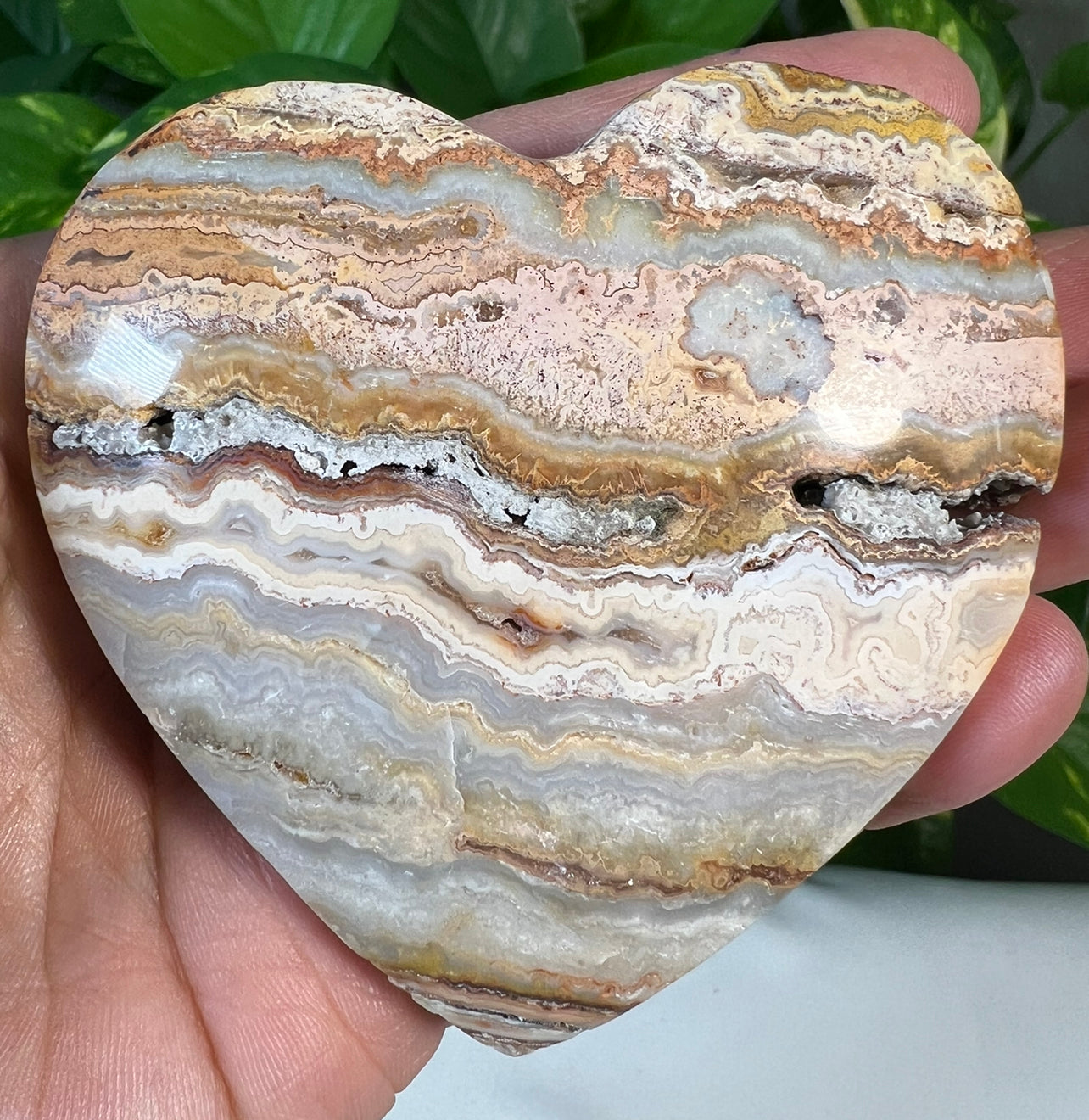 Crazy Lace Agate Hearts