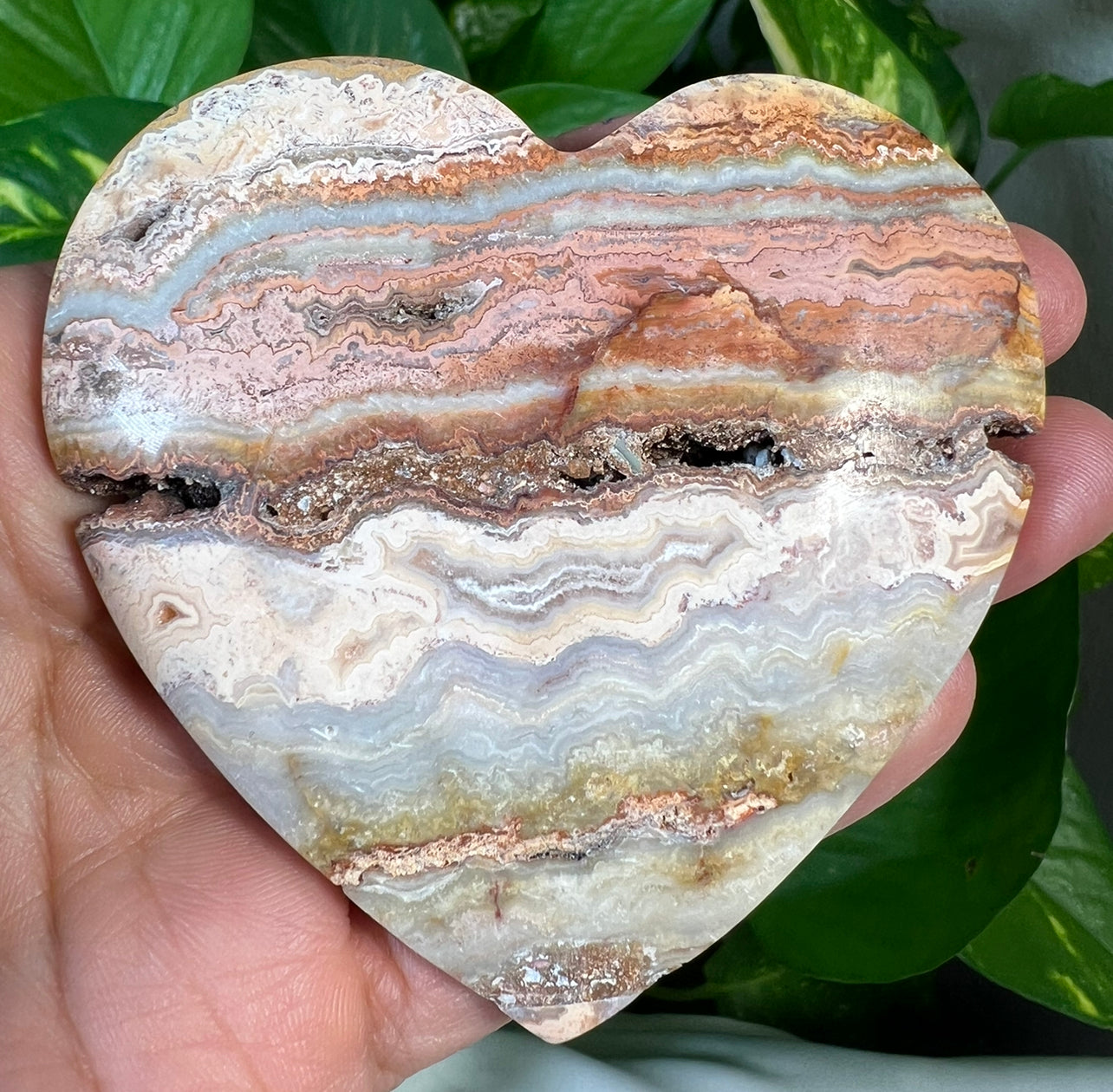 Crazy Lace Agate Hearts