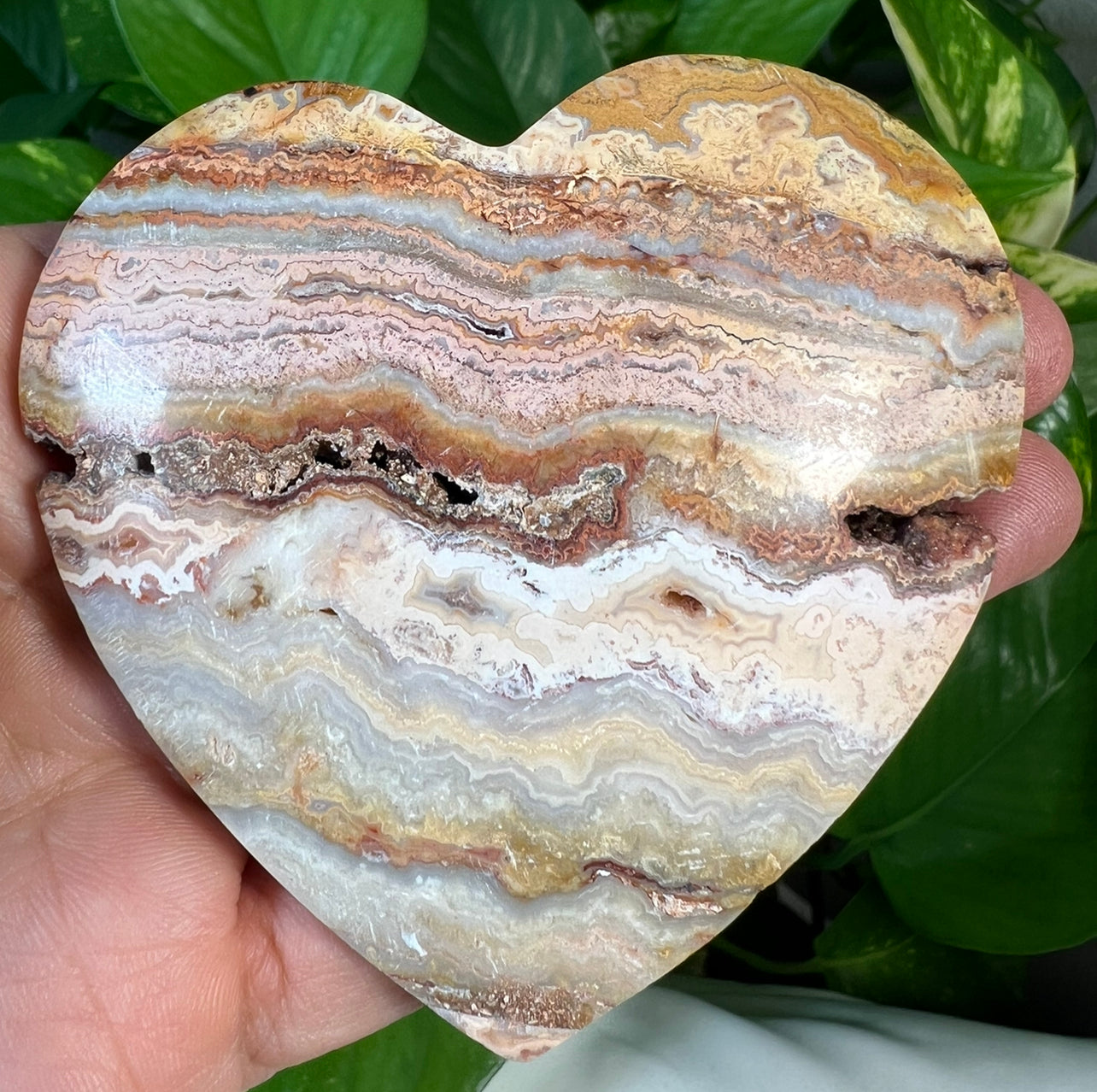 Crazy Lace Agate Hearts