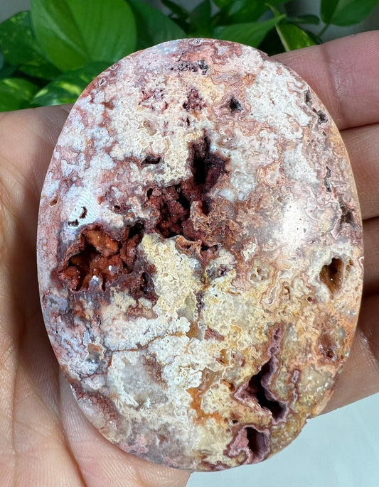 Crazy Lace Agate Palmstones