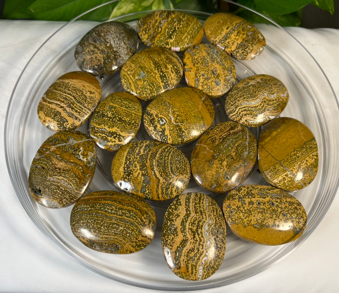 Green Ocean Jasper Palm Stones