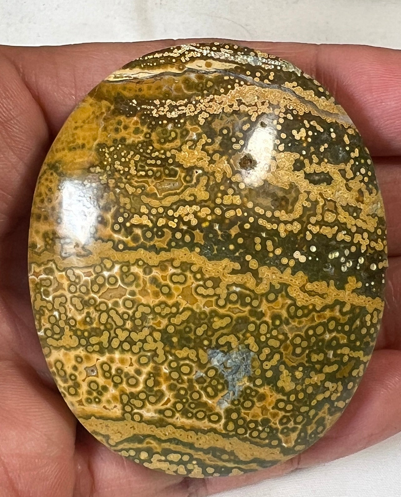 Green Ocean Jasper Palm Stones