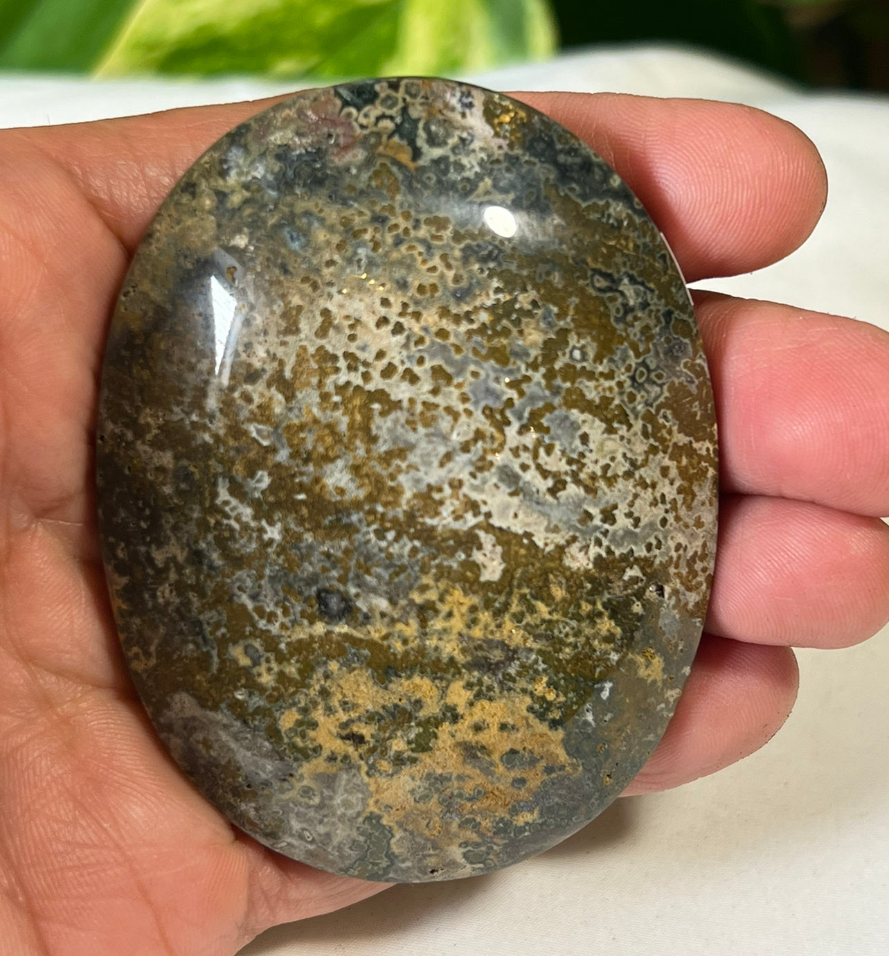 Green Ocean Jasper Palm Stones