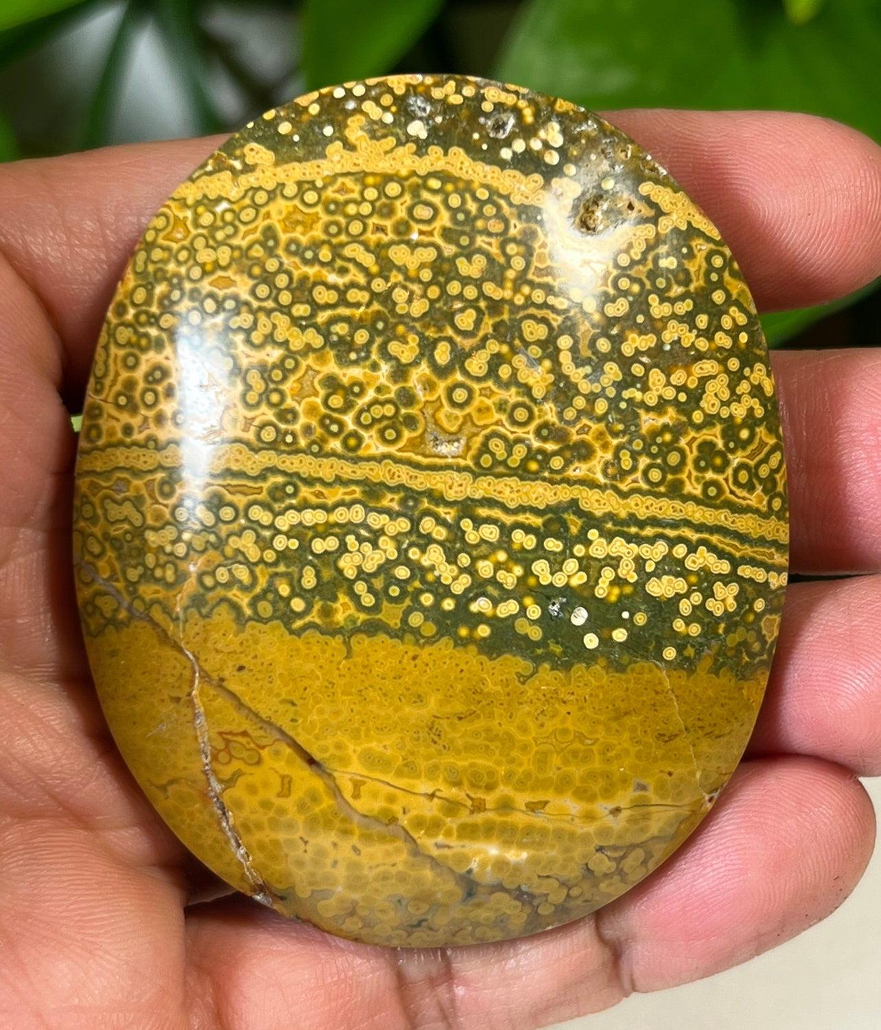 Green Ocean Jasper Palm Stones