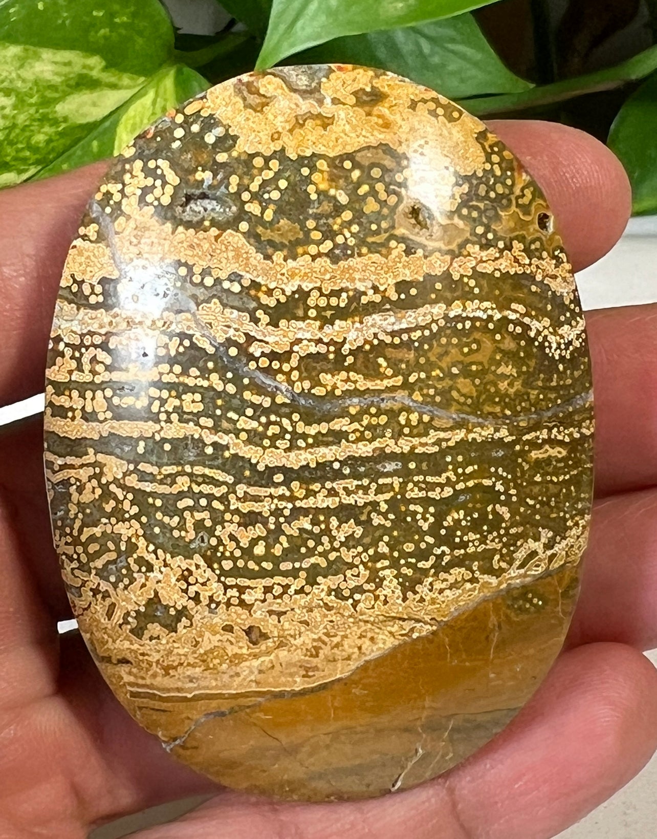 Green Ocean Jasper Palm Stones