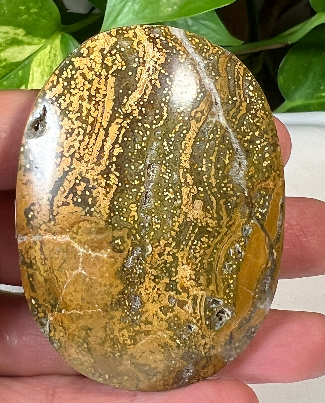 Green Ocean Jasper Palm Stones