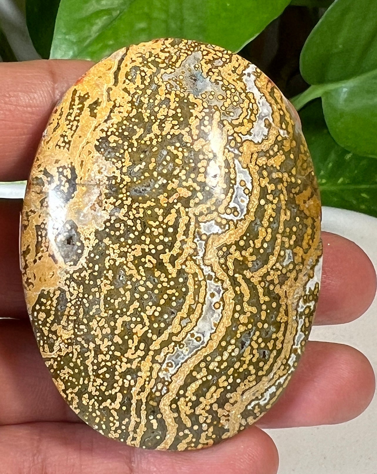 Green Ocean Jasper Palm Stones