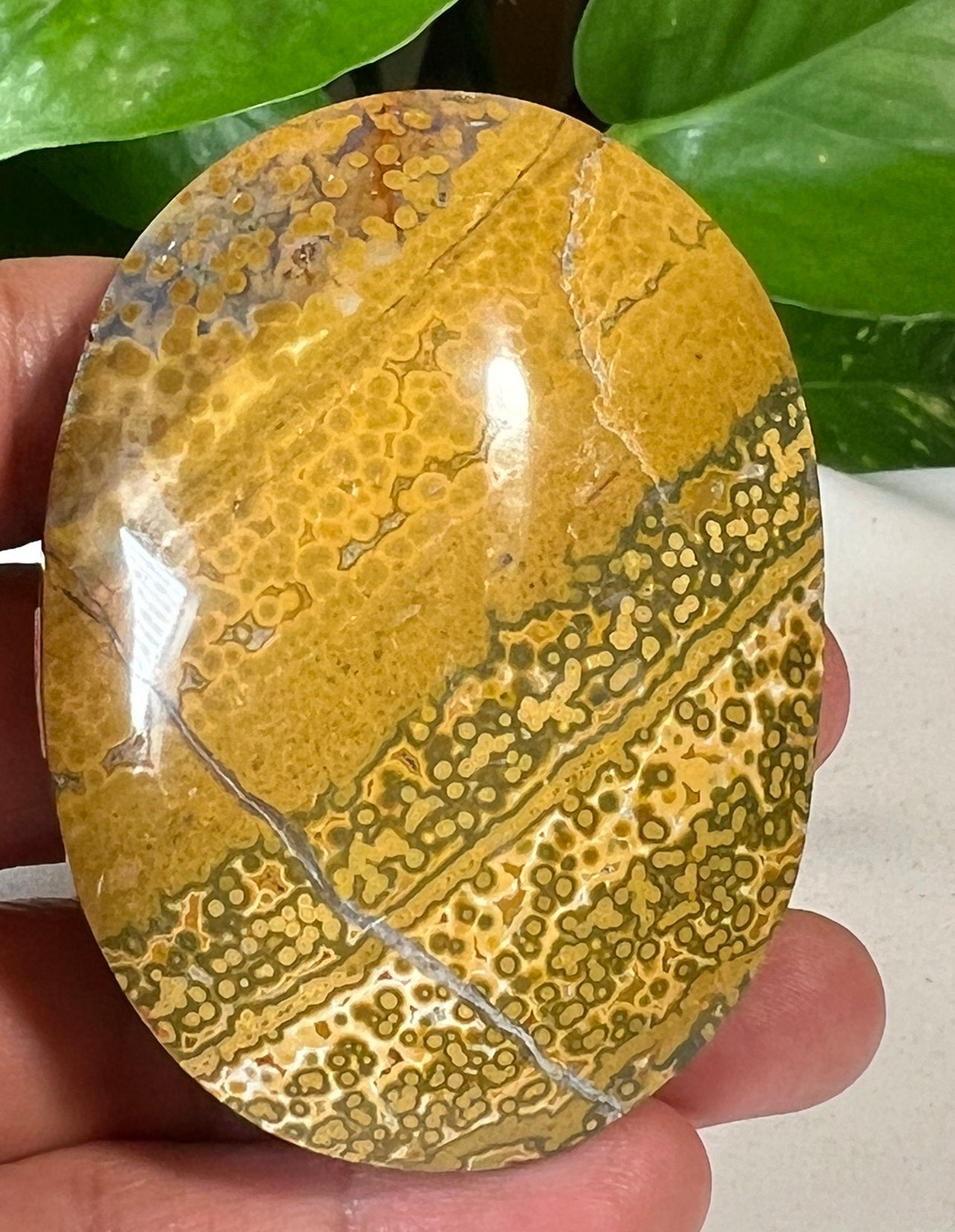 Green Ocean Jasper Palm Stones