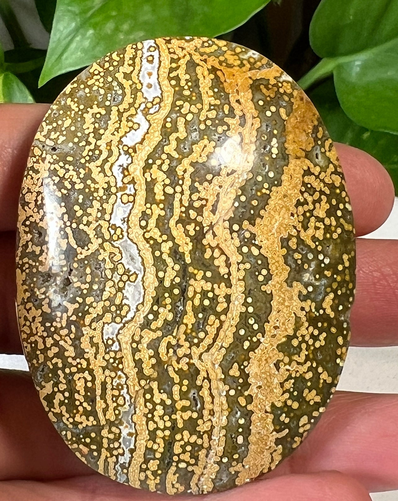 Green Ocean Jasper Palm Stones