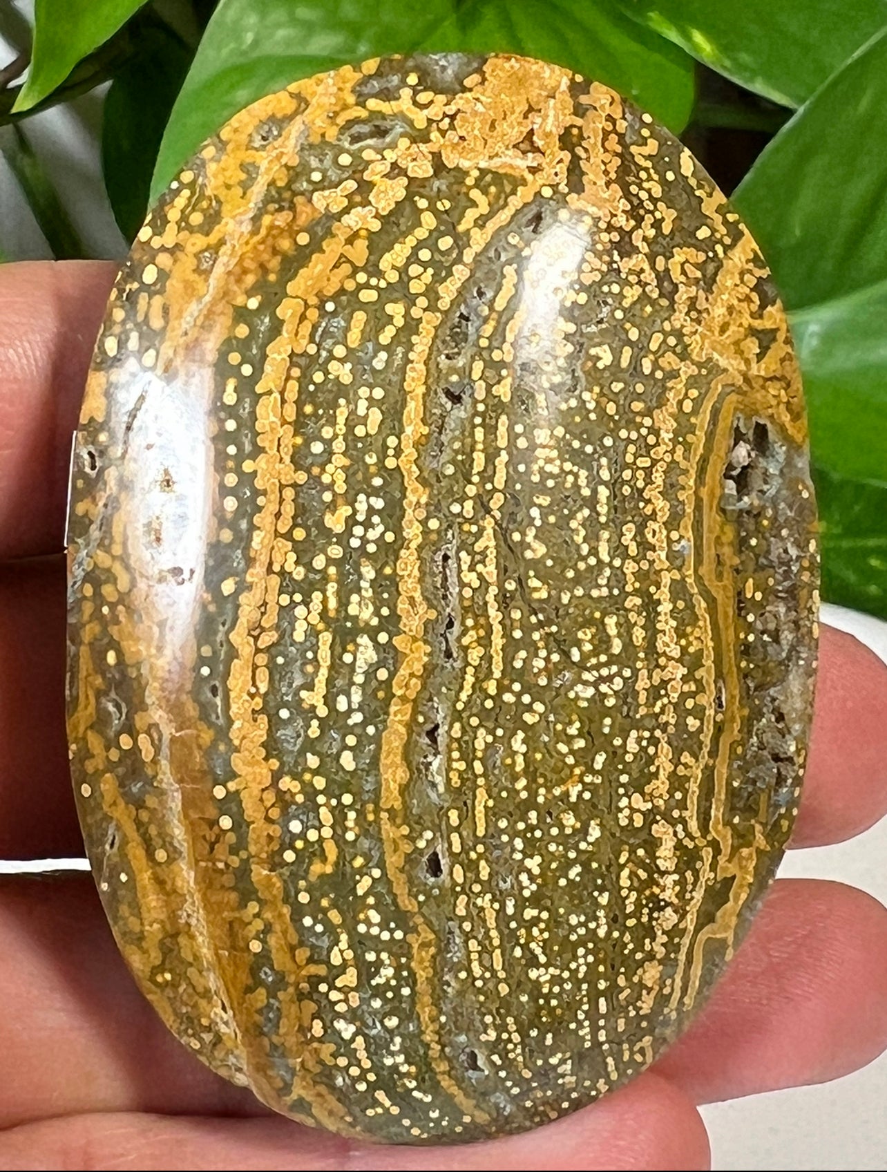 Green Ocean Jasper Palm Stones