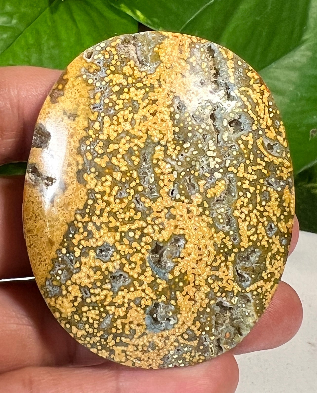 Green Ocean Jasper Palm Stones