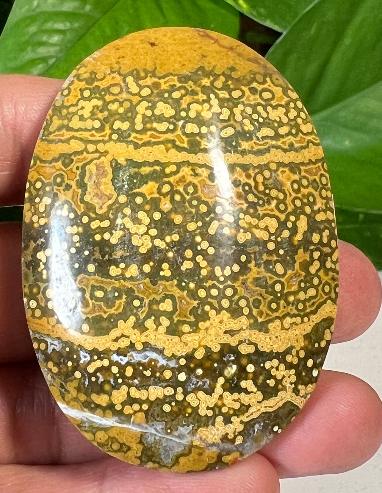 Green Ocean Jasper Palm Stones