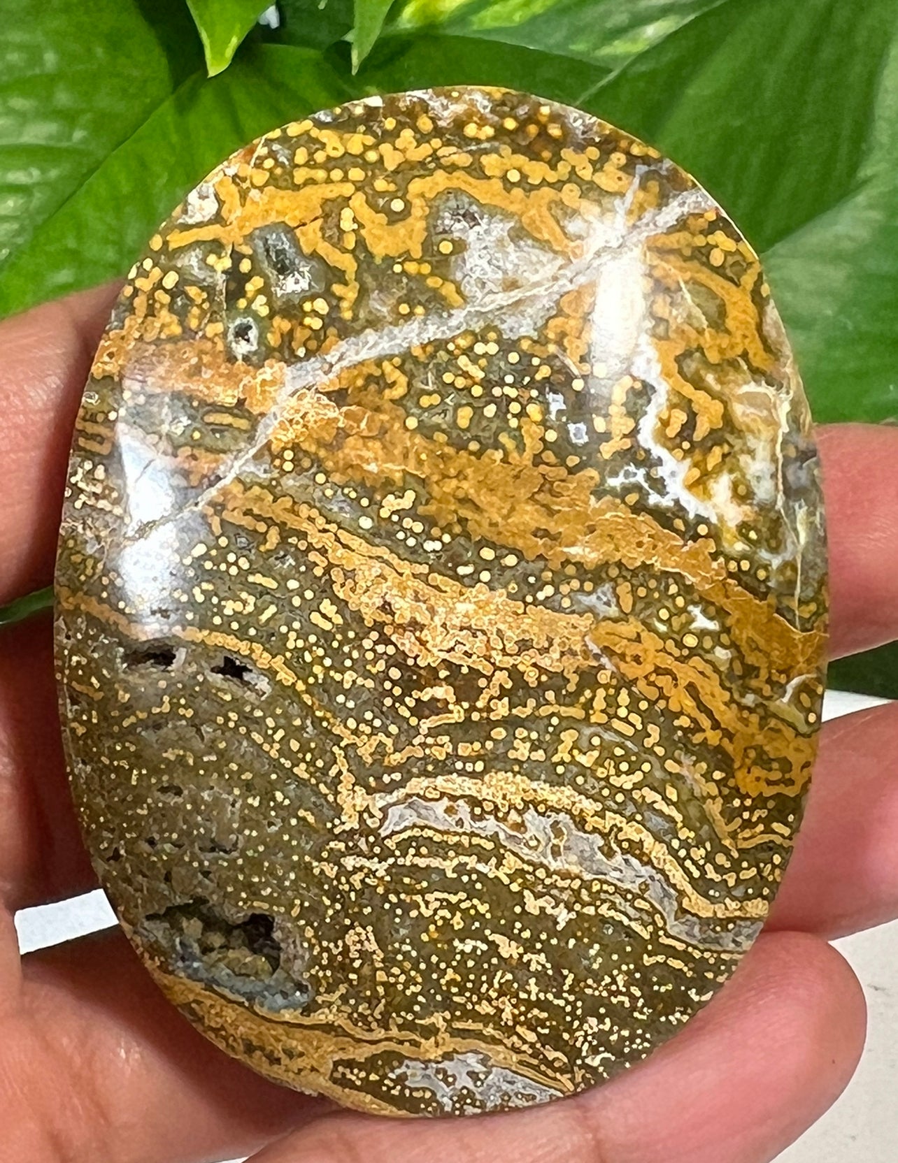 Green Ocean Jasper Palm Stones