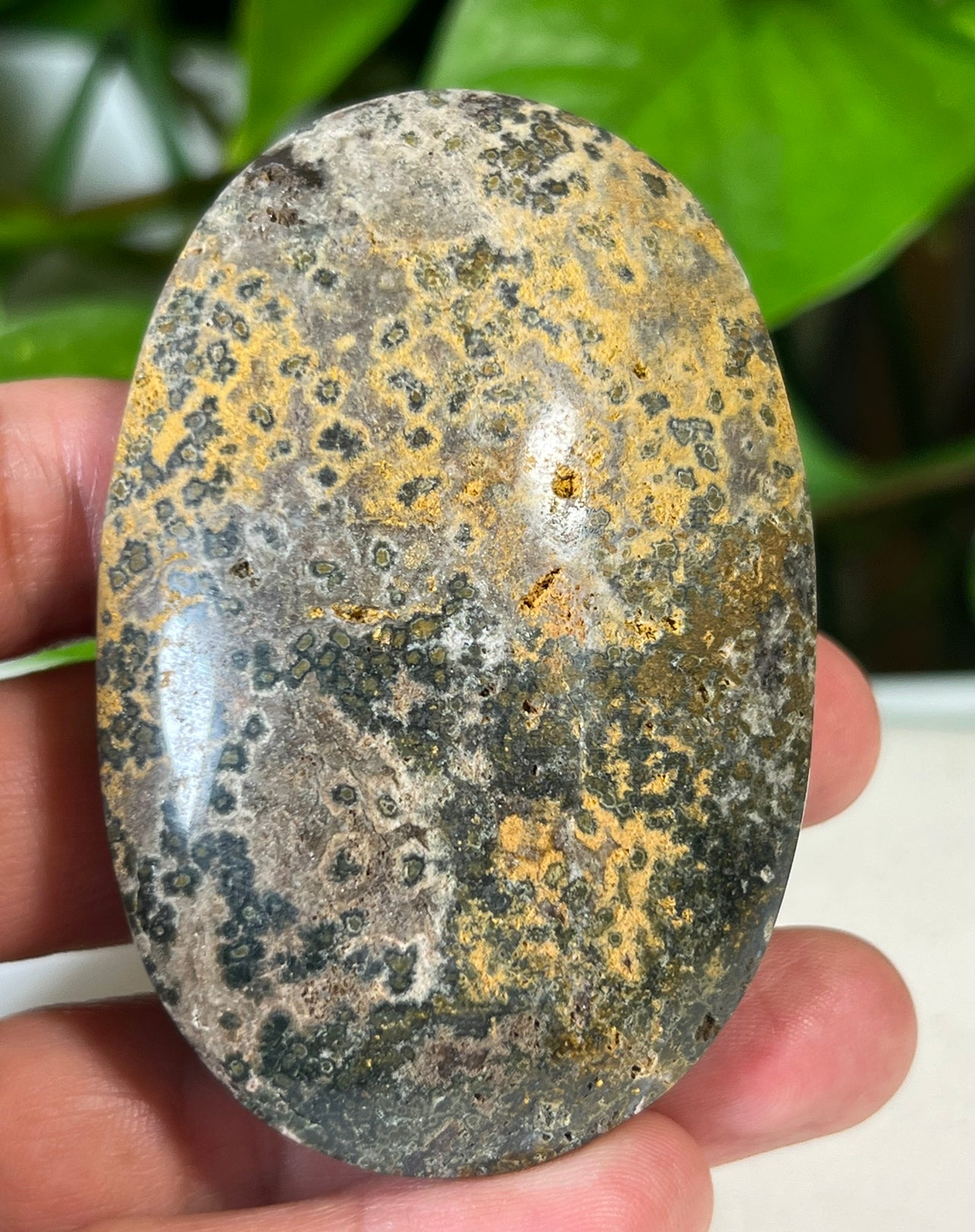 Green Ocean Jasper Palm Stones