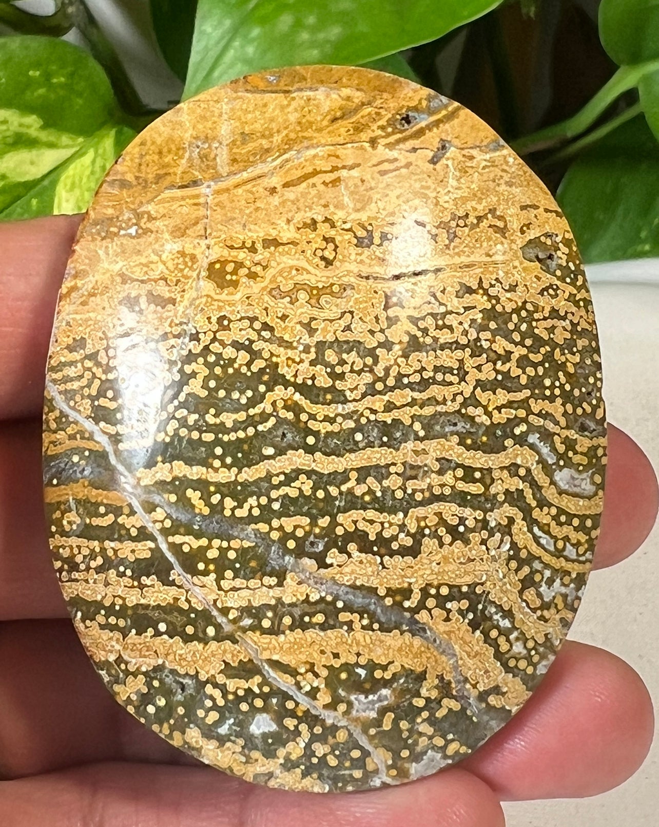 Green Ocean Jasper Palm Stones