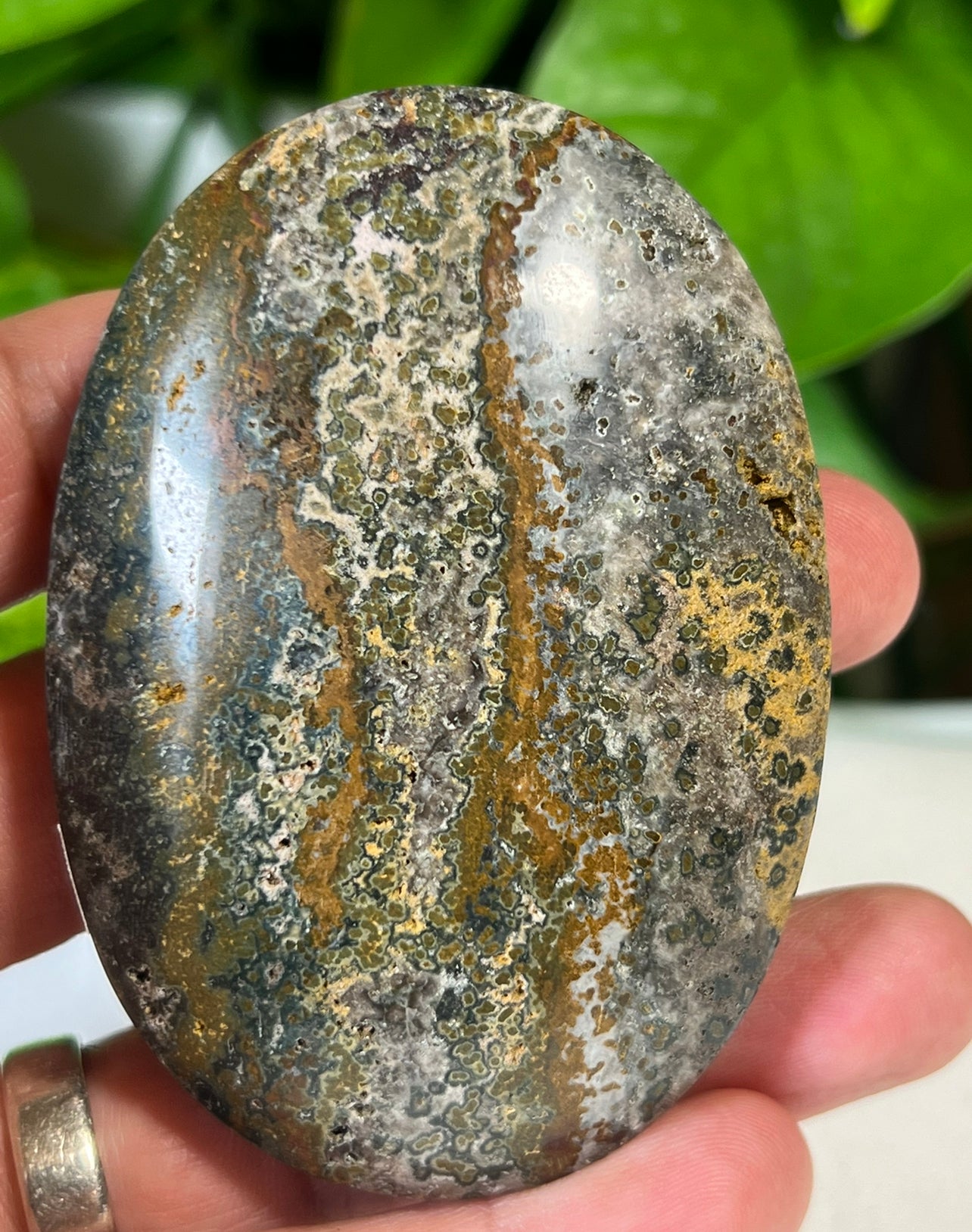 Green Ocean Jasper Palm Stones