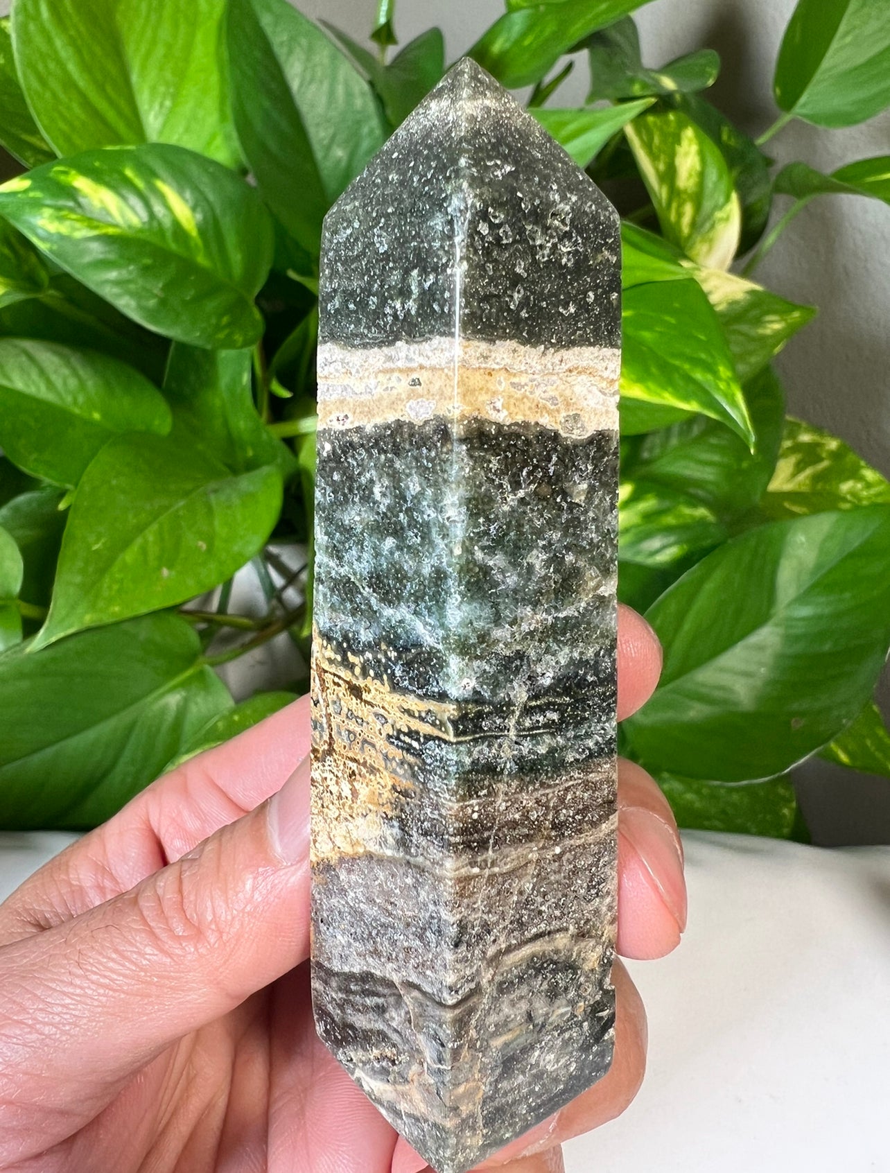 Green Ocean Jasper Towers