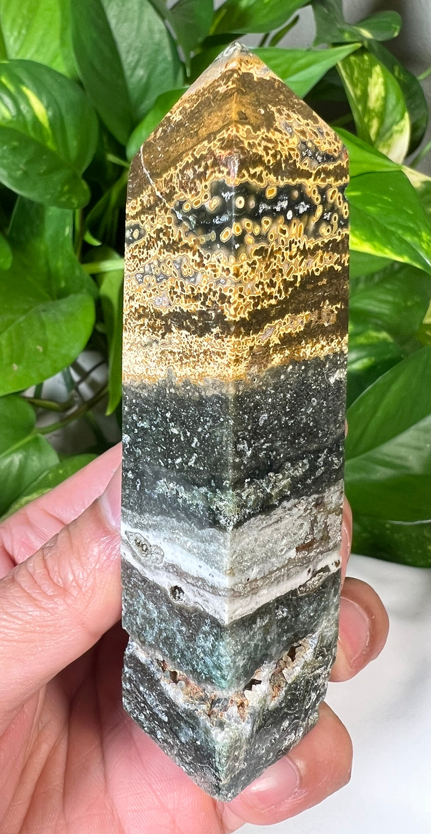 Green Ocean Jasper Towers