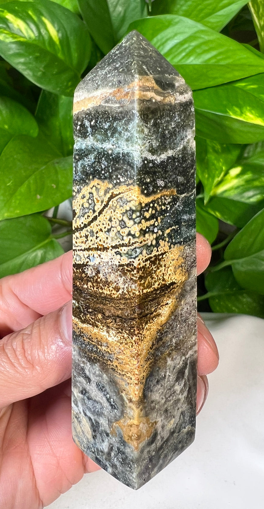 Green Ocean Jasper Towers