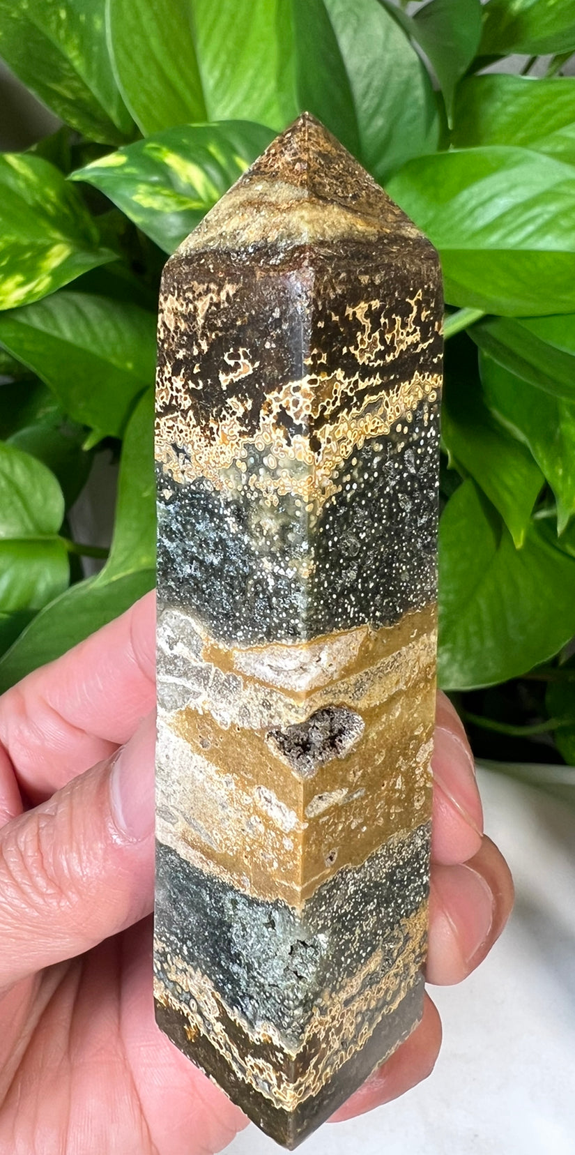 Green Ocean Jasper Towers