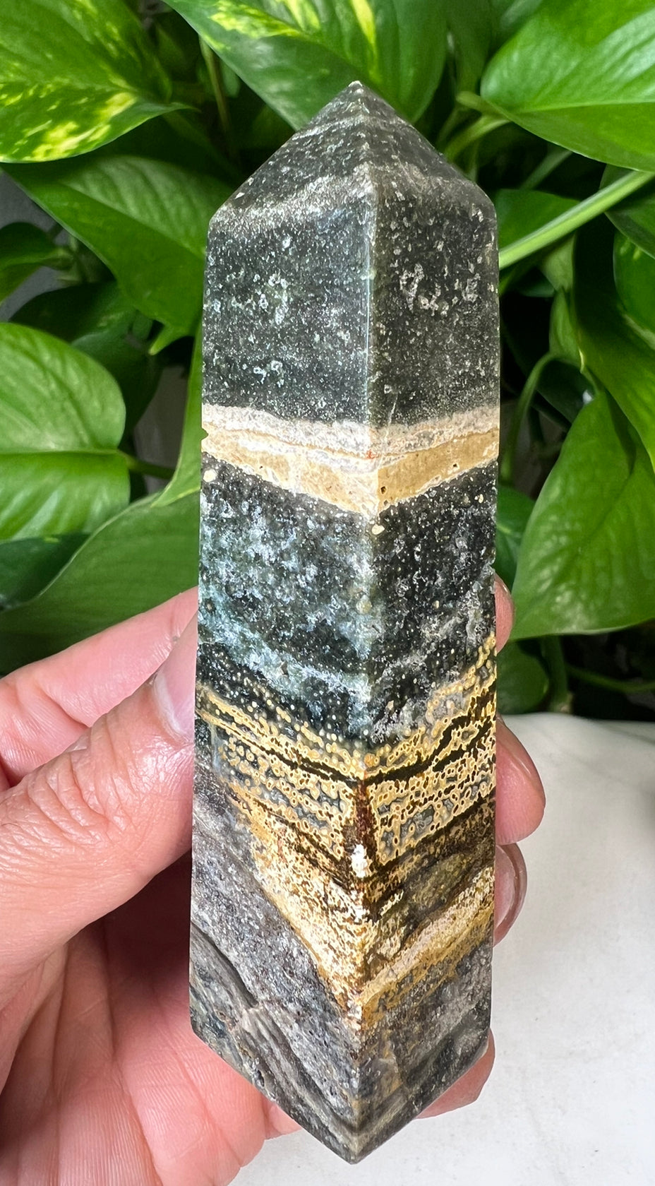 Green Ocean Jasper Towers