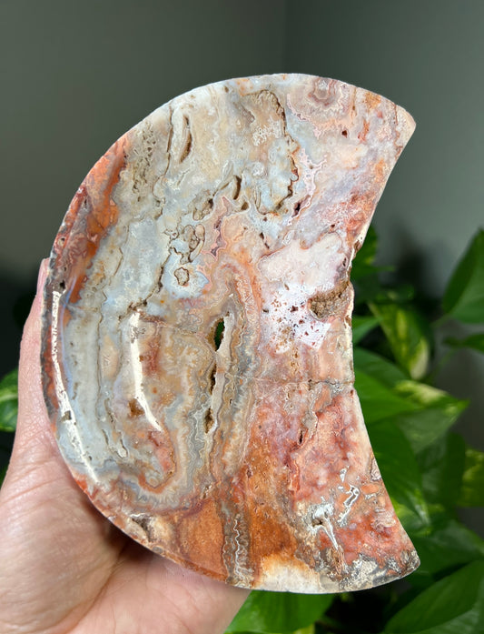 Crazy Lace Agate Moon Bowls