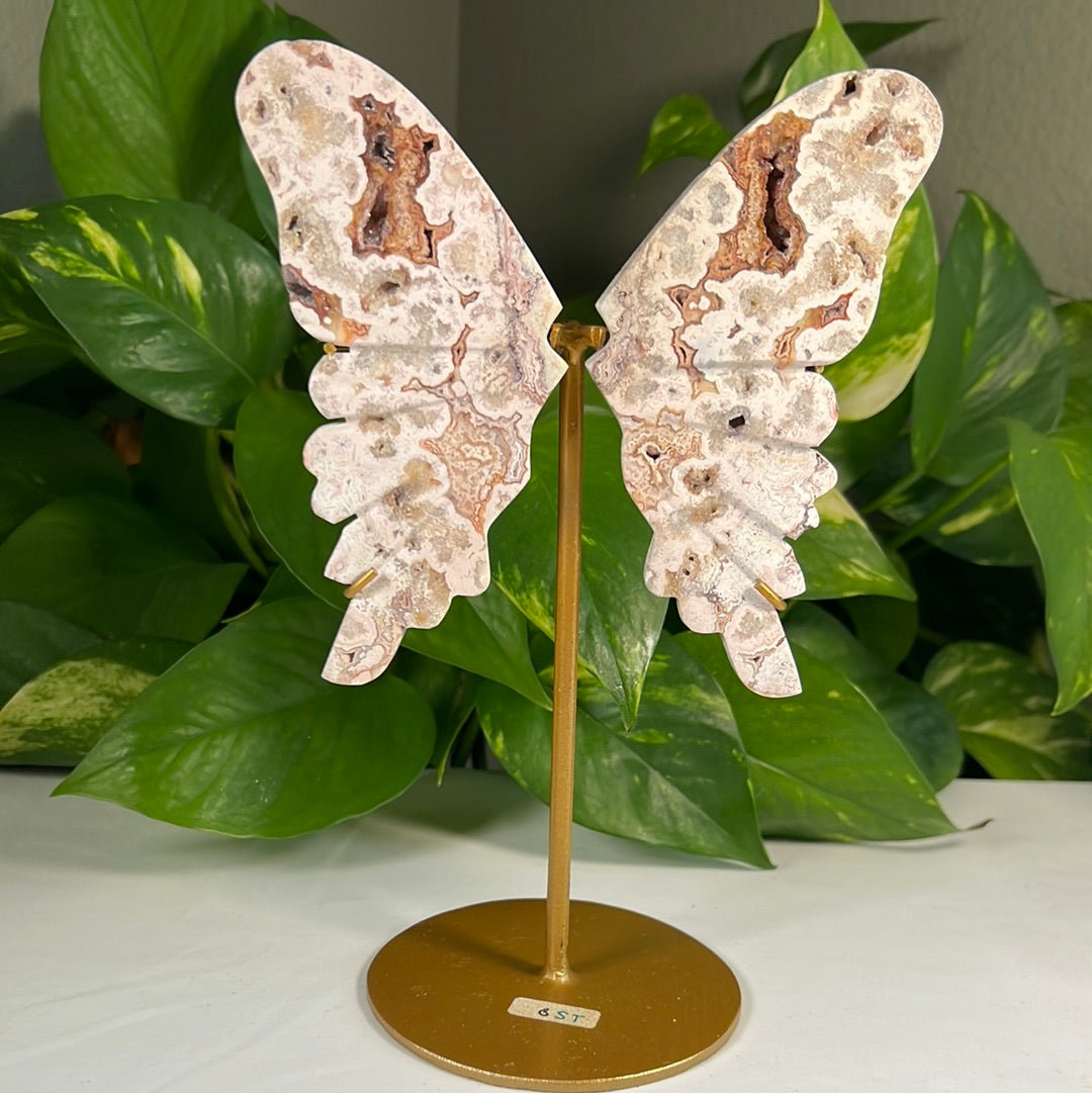 Crazy Lace Agate Wings